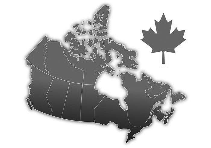 Window Film Installation Services Across Canada